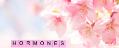 balancing hormones